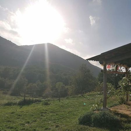Bright Loft With Mountain And Nature View Sougraigne Extérieur photo