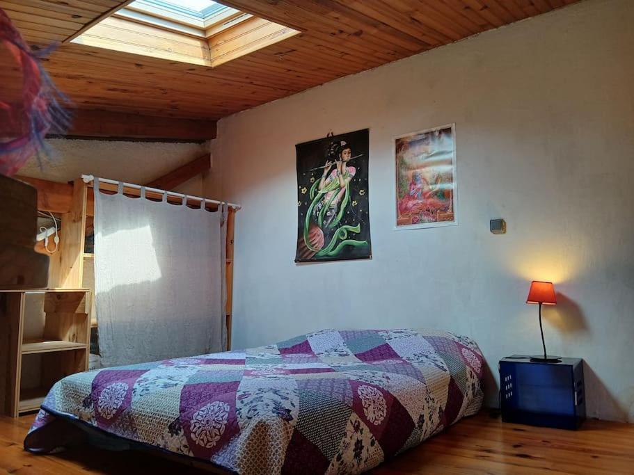 Bright Loft With Mountain And Nature View Sougraigne Extérieur photo