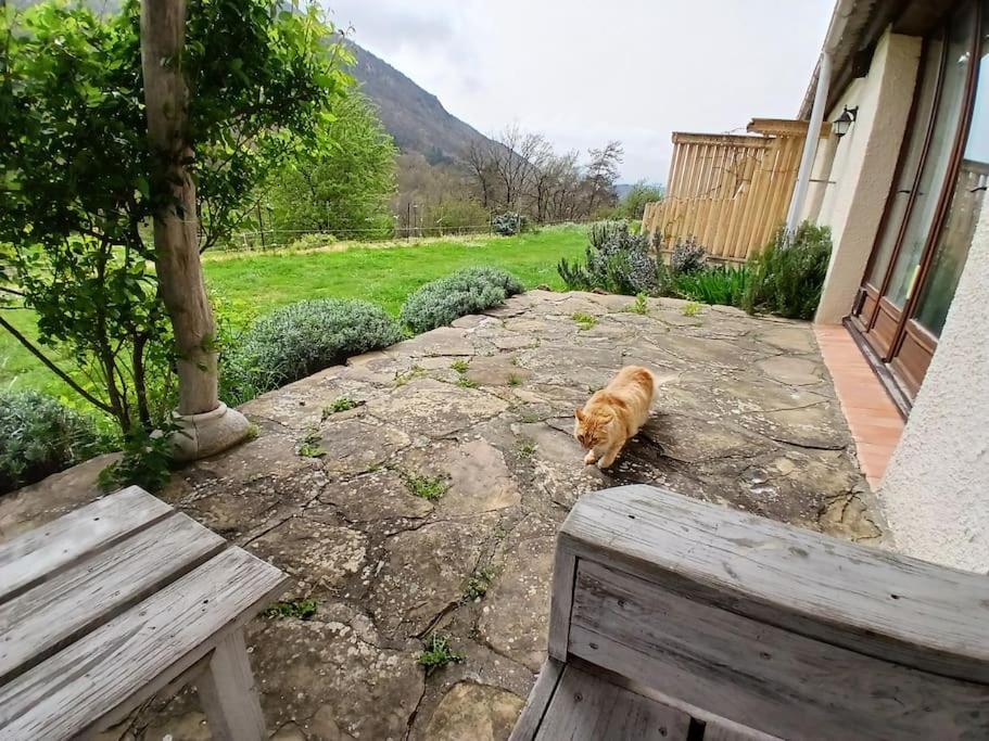 Bright Loft With Mountain And Nature View Sougraigne Extérieur photo
