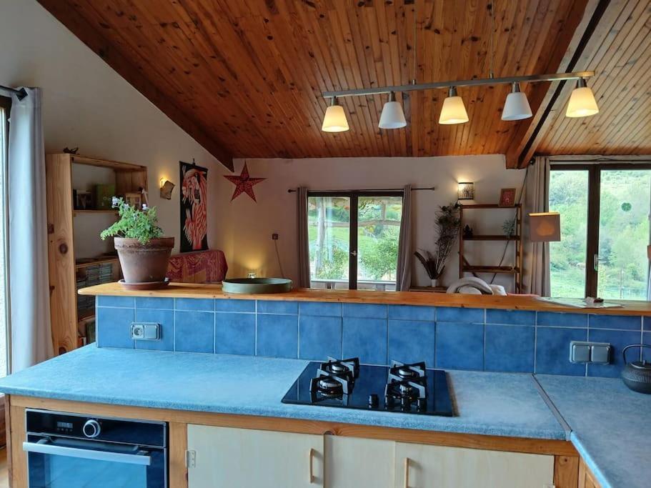 Bright Loft With Mountain And Nature View Sougraigne Extérieur photo